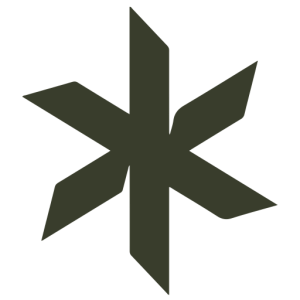 Logo of First Voluntary Surgical Hospital Ukraine